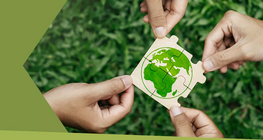 Sống bền vững có nghĩa là gì?