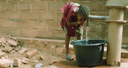 Bệnh tả, kẻ sát nhân ẩn mình trong nước.