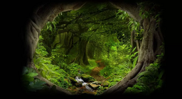 Sâu Trong Rừng Rậm