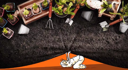 Cuộc sống trong khu vườn thay đổi như thế nào?