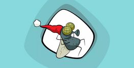 Ruồi ẩn náu ở đâu vào mùa đông?