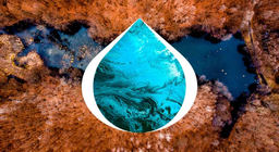 Sự phát triển của hồ