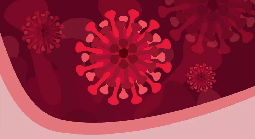 Những điều bạn cần biết về virus corona và COVID-19