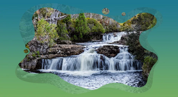 Vi sinh vật thủy sinh