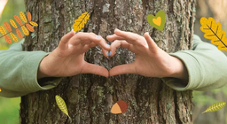 Hệ sinh thái của rừng xanh