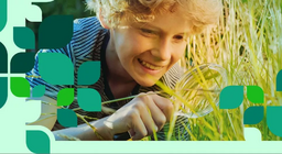 Hệ thực vật và động vật của đồng bằng