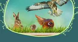 Động vật đồng cỏ