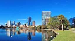 Đời sống ở thành phố như thế nào?