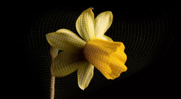 Những bí mật của vũ trụ giãn nở