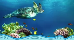 Giới thiệu về thế giới đại dương