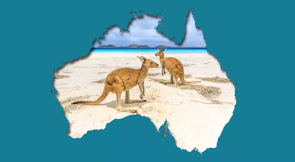 Các vấn đề về môi trường ở vùng đất của loài kangaroo