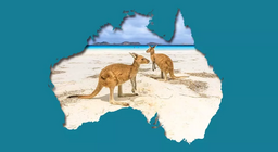 Các vấn đề môi trường ở vùng đất của chuột túi