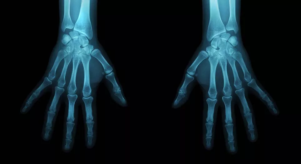 Trở thành một nhà nhân chủng học pháp y