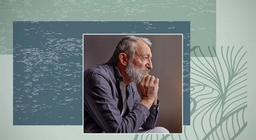 Các vấn đề dân số ở các nước phát triển