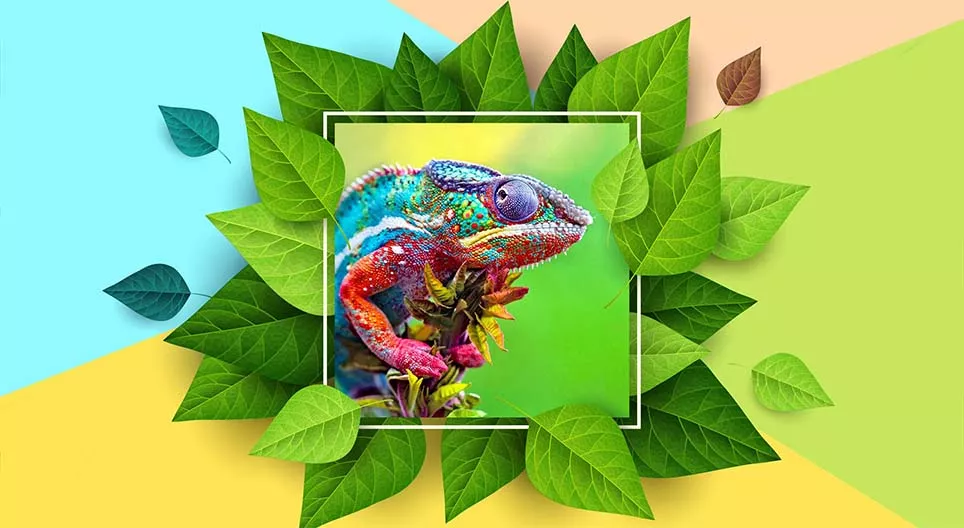 Những người đổi màu trong tự nhiên