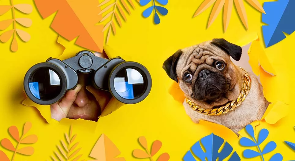 Bạn cũng nhìn thấy nó chứ?