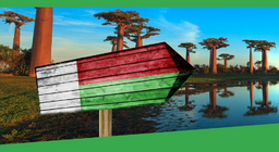 Hãy cùng đi du lịch đến Madagascar