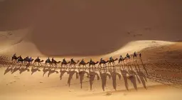 Tham gia đoàn lữ hành!