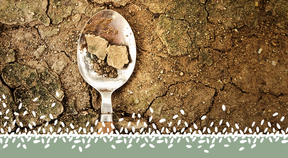 Khủng hoảng lương thực toàn cầu