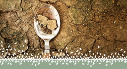 Khủng hoảng lương thực toàn cầu