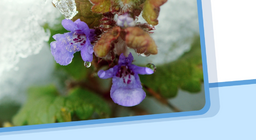 Trạng thái của vật chất, sự thay đổi trạng thái