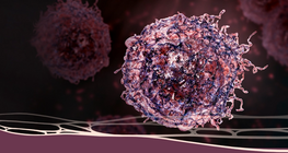 Chẩn đoán đáng sợ: Bệnh ung thư