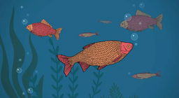 Cá có uống không?