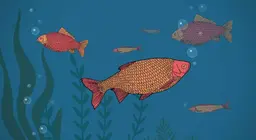 Cá có uống không?