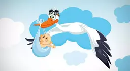 Cò có thực sự sinh em bé?