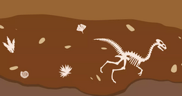 Sự sống trên Trái Đất đã phát triển như thế nào?