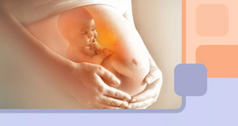 Điều gì xảy ra với cơ thể phụ nữ trong thời gian mang thai?