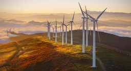 Năng lượng gió được sử dụng như thế nào