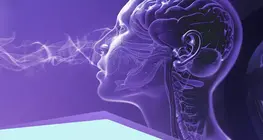 Cảm biến và thụ thể