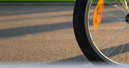 The dynamics of rotational motion