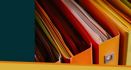 Tệp và thư mục