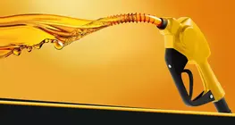 Câu chuyện thú vị về xăng pha chì