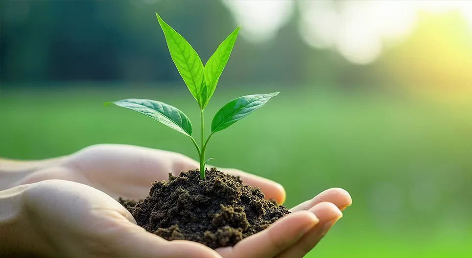 Sự sống bắt đầu từ đâu?