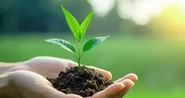 Sự sống bắt đầu từ đâu?
