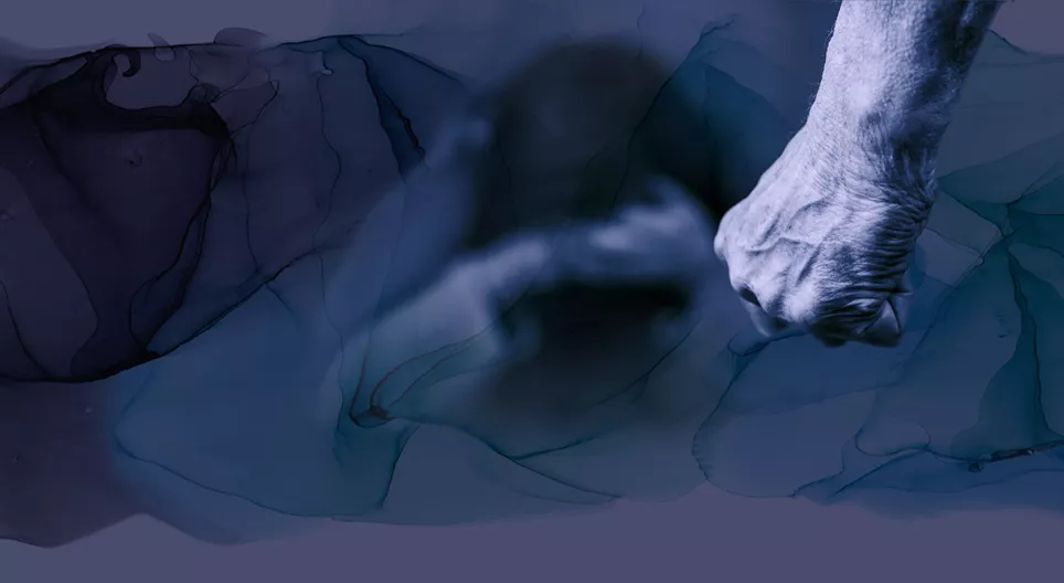 Mối quan hệ bạo hành