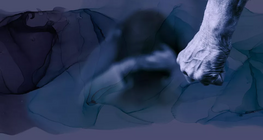 Mối quan hệ bạo hành