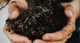 Đất hình thành như thế nào?