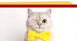 ¿Tienes animales en casa?