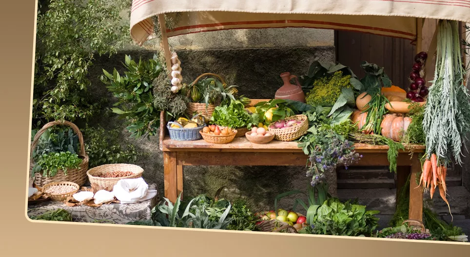 Nền kinh tế và xã hội của Malta vào cuối thời Trung cổ 2 – Xã hội