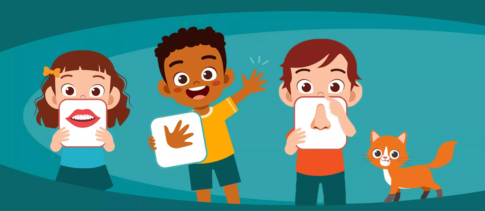 Các bộ phận cơ thể - Bản quốc tế