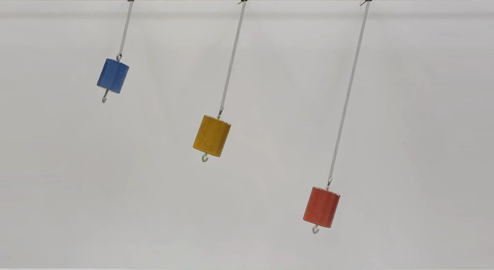 Xác định gia tốc rơi tự do