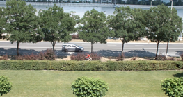 Chuyển động đều của xe đạp trên một đường thẳng