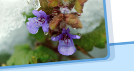 Trạng thái của vật chất, sự thay đổi trạng thái