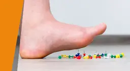 Các giác quan biến mất