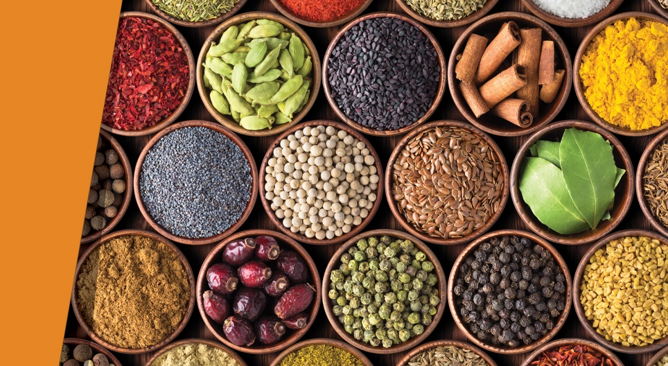 Hàng ngàn hương vị trên lưỡi bạn