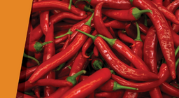 Giống như vui mừng trong giống như